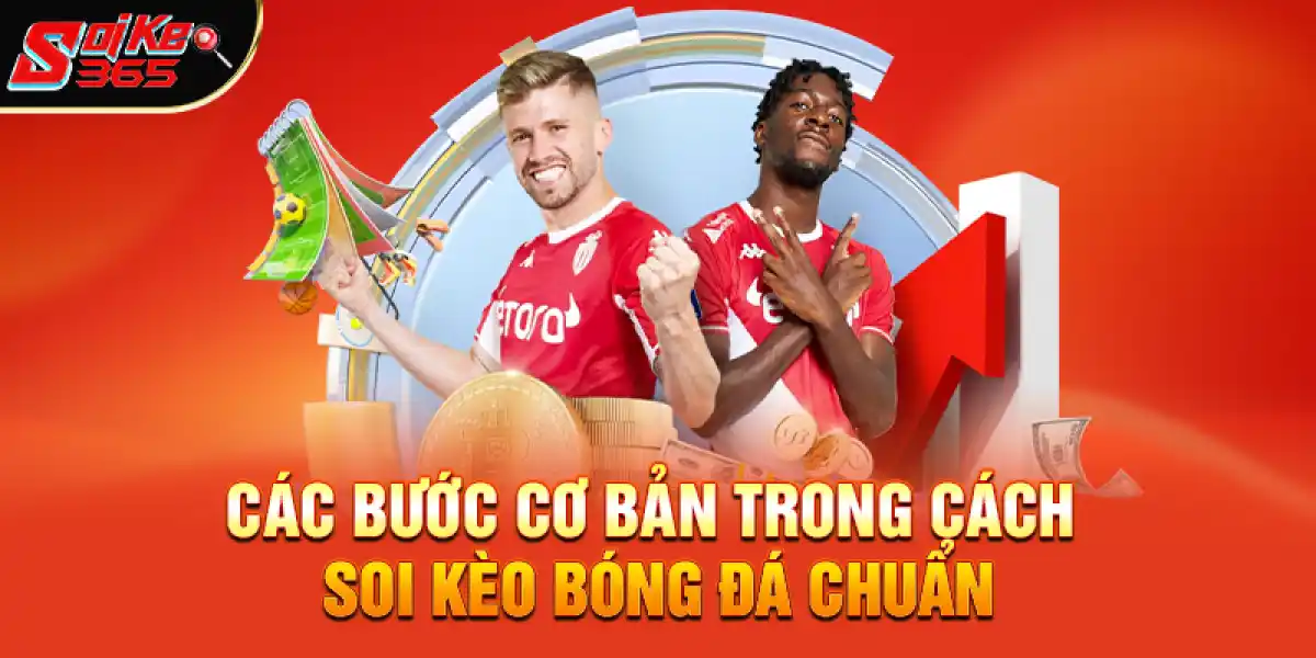 Các bước cơ bản trong cách soi kèo bóng đá chuẩn