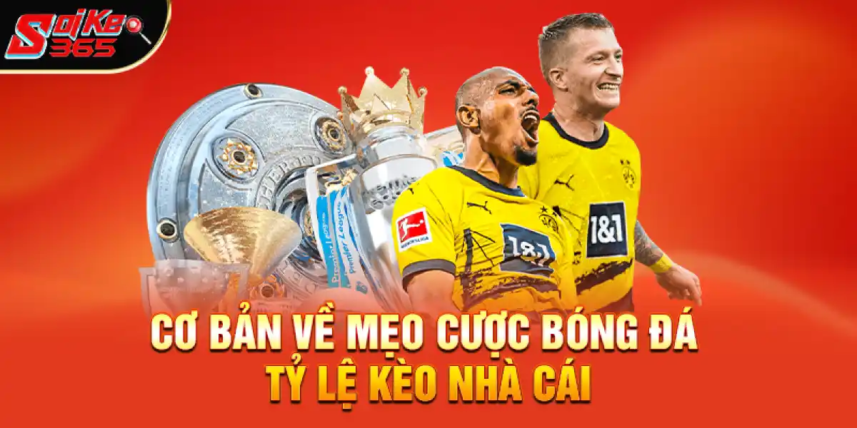Cơ bản về mẹo cược bóng đá tỷ lệ kèo nhà cái