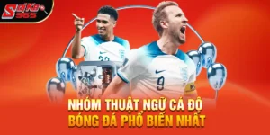 Thuật ngữ cá độ bóng đá – Hướng dẫn cách chơi cho người mới bắt đầu